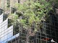 NJ_NY 025